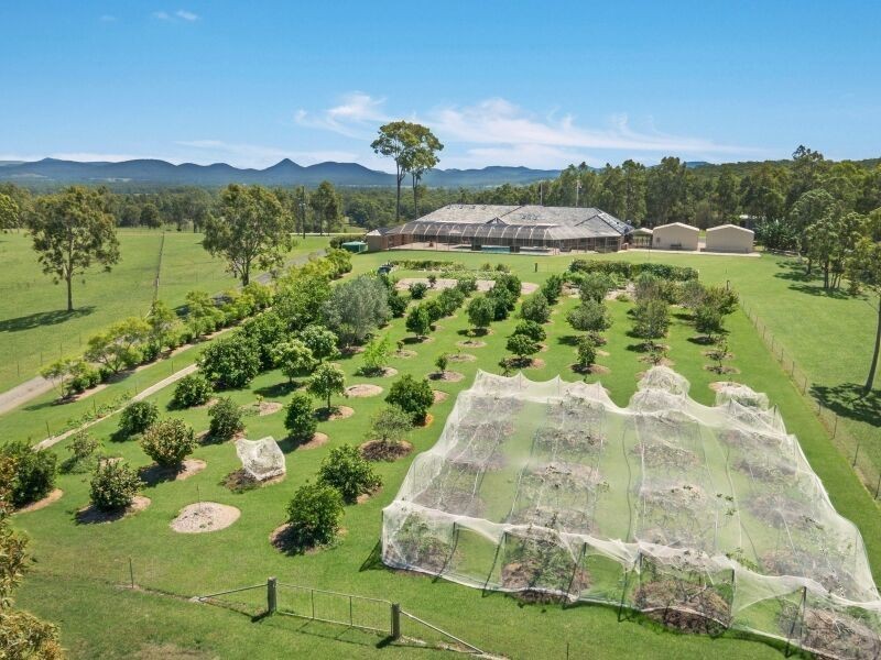 The Branch NSW 2425