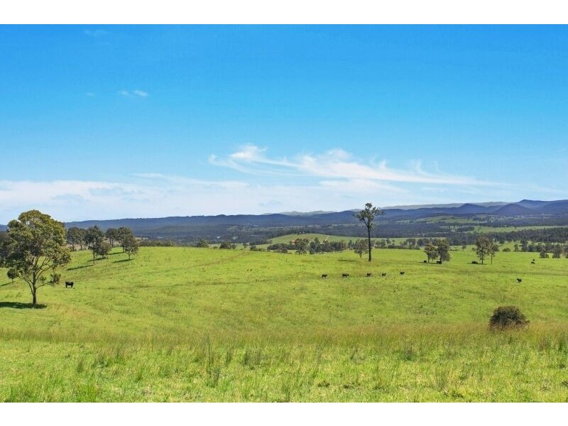 The Branch NSW 2425