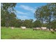 The Branch NSW 2425