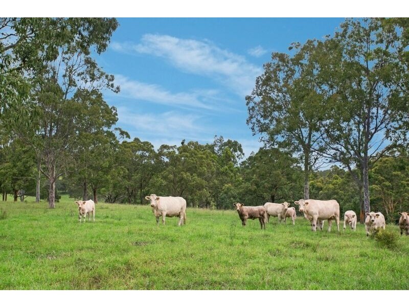 The Branch NSW 2425
