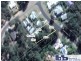 Batemans Bay NSW 2536