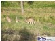 Batemans Bay NSW 2536
