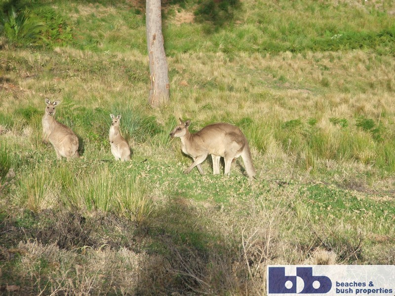 Batemans Bay NSW 2536