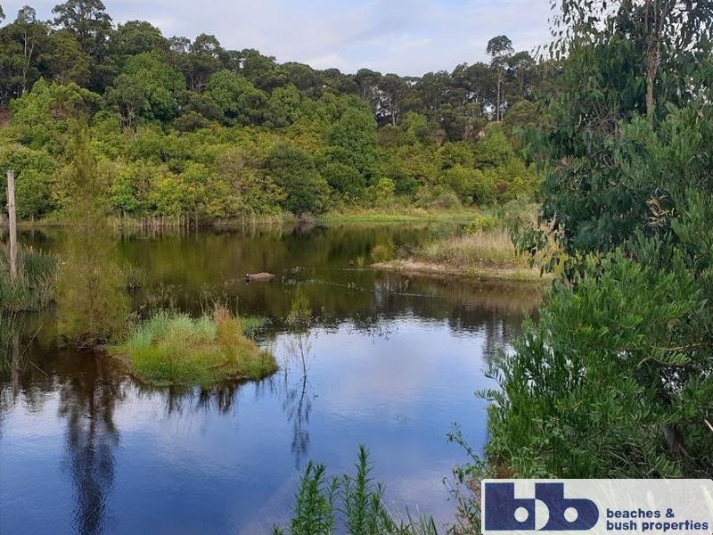 47 Rundle Avenue, Wallsend NSW 2287