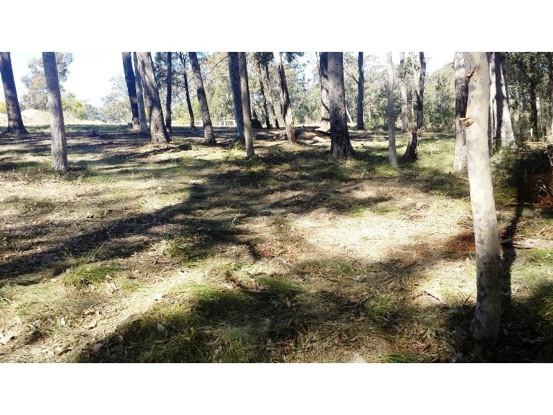 Bimbimbie NSW 2536