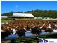 Bobs Farm NSW 2316