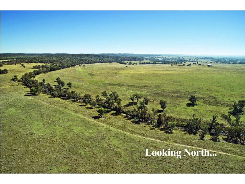 Elong Elong NSW 2831