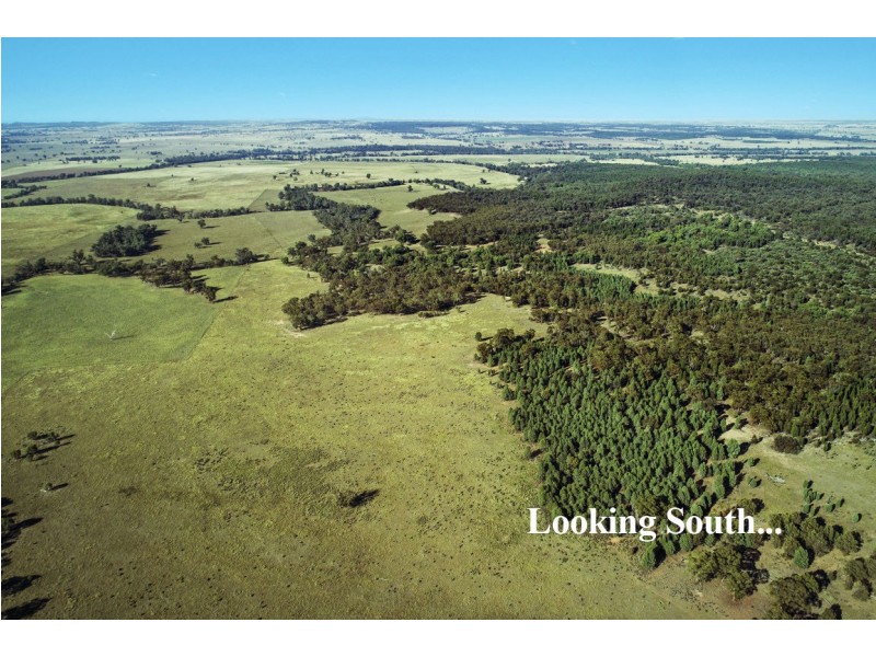 Elong Elong NSW 2831