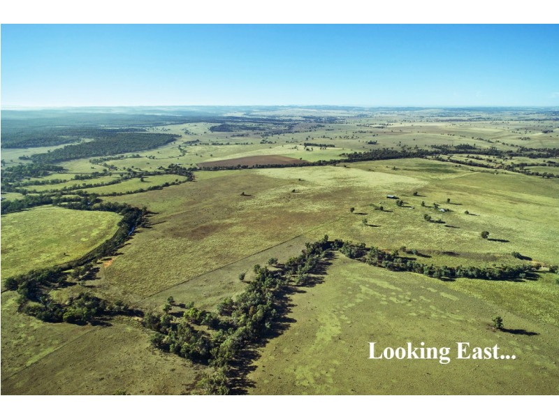 Elong Elong NSW 2831