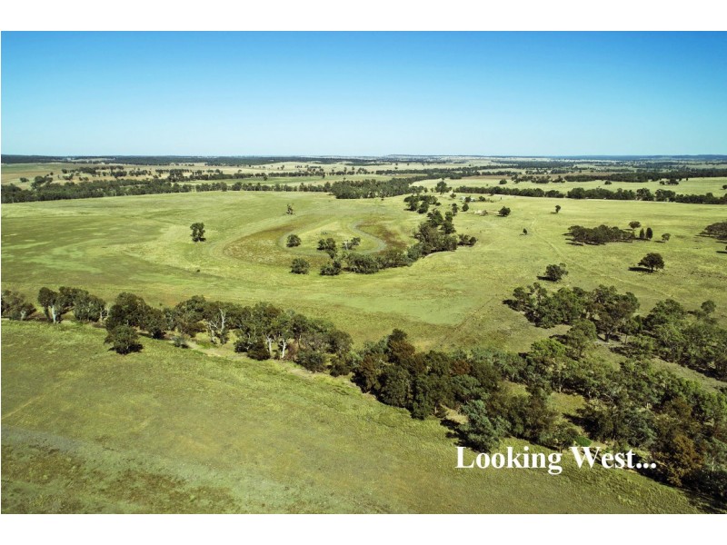 Elong Elong NSW 2831