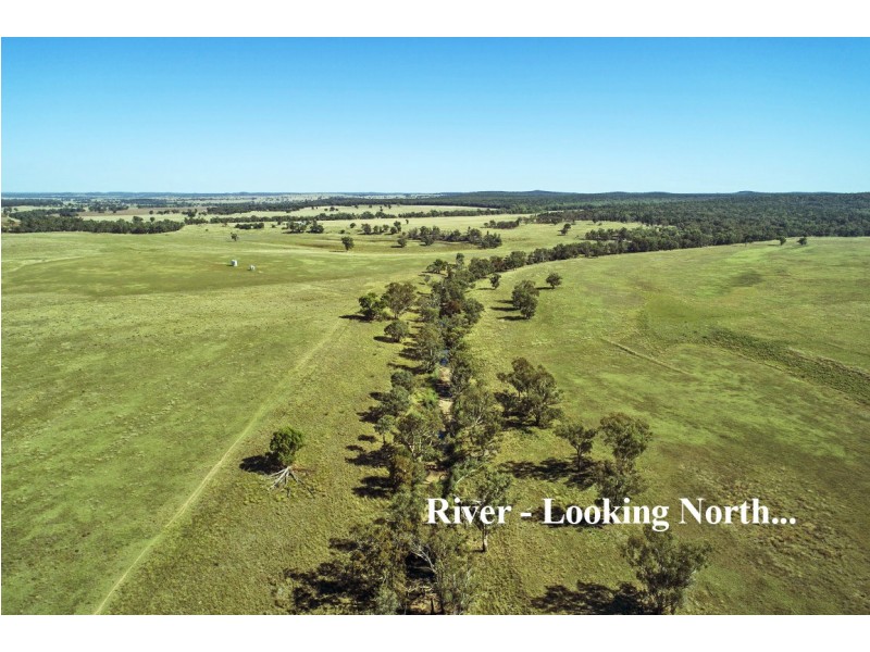 Elong Elong NSW 2831