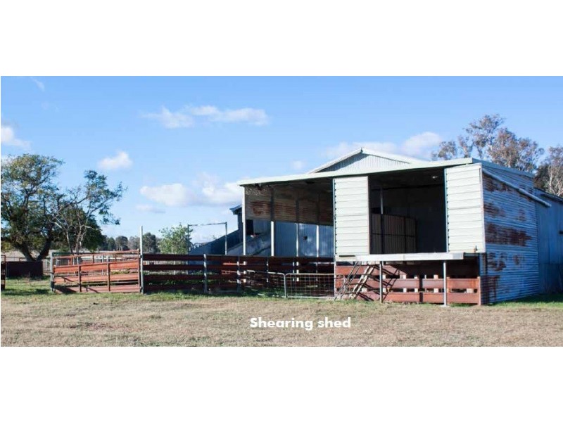 Elong Elong NSW 2831