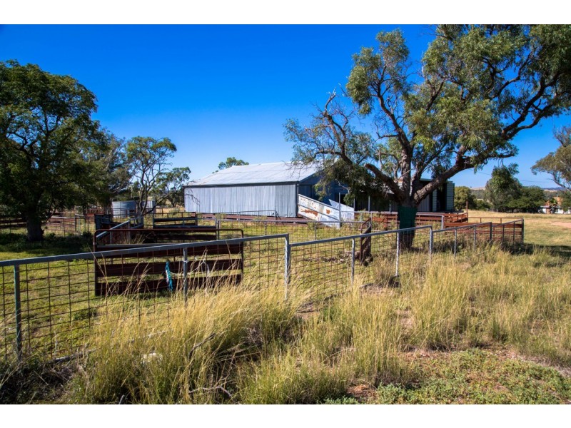 Elong Elong NSW 2831