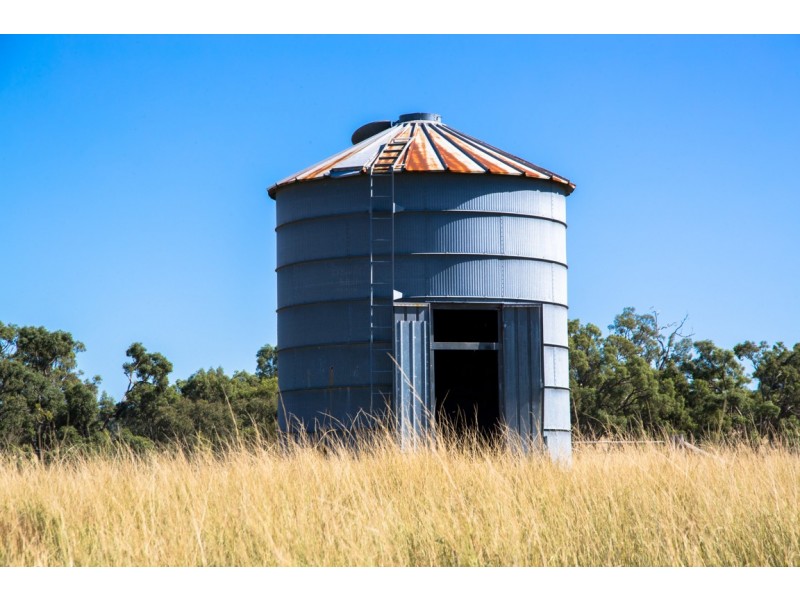 Elong Elong NSW 2831