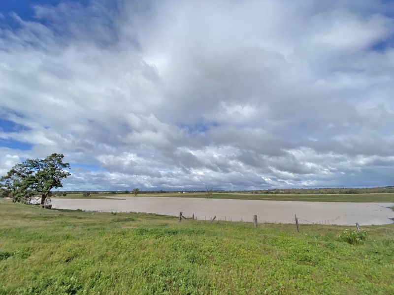 Elong Elong NSW 2831