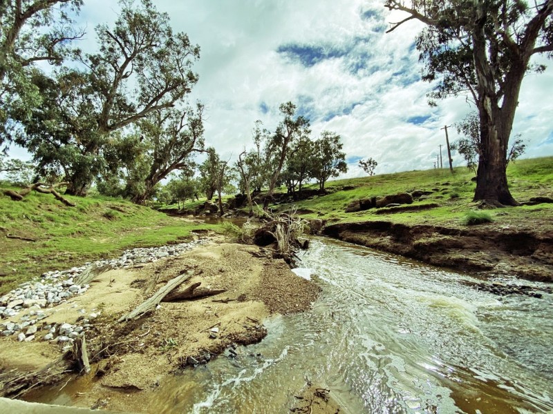 Elong Elong NSW 2831