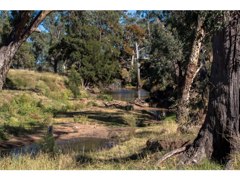 Elong Elong NSW 2831