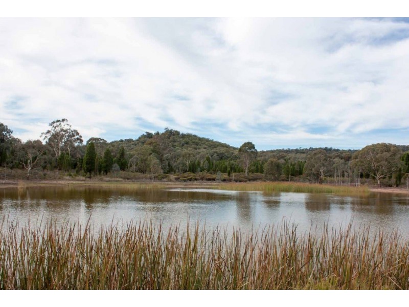 Elong Elong NSW 2831