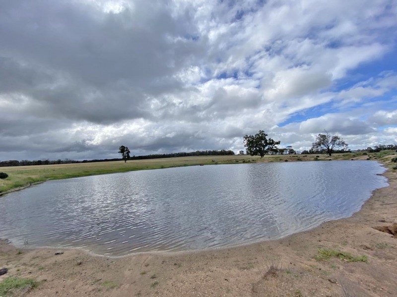 Elong Elong NSW 2831