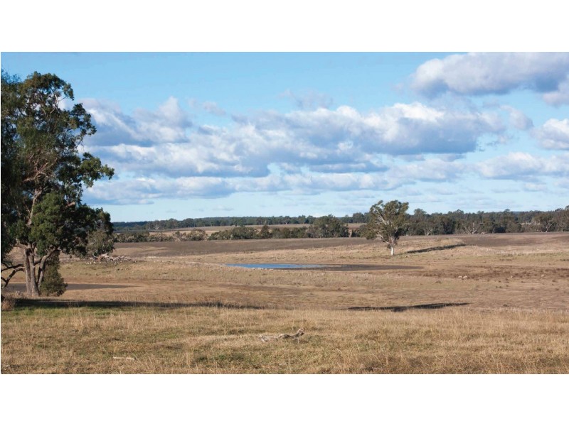 Elong Elong NSW 2831