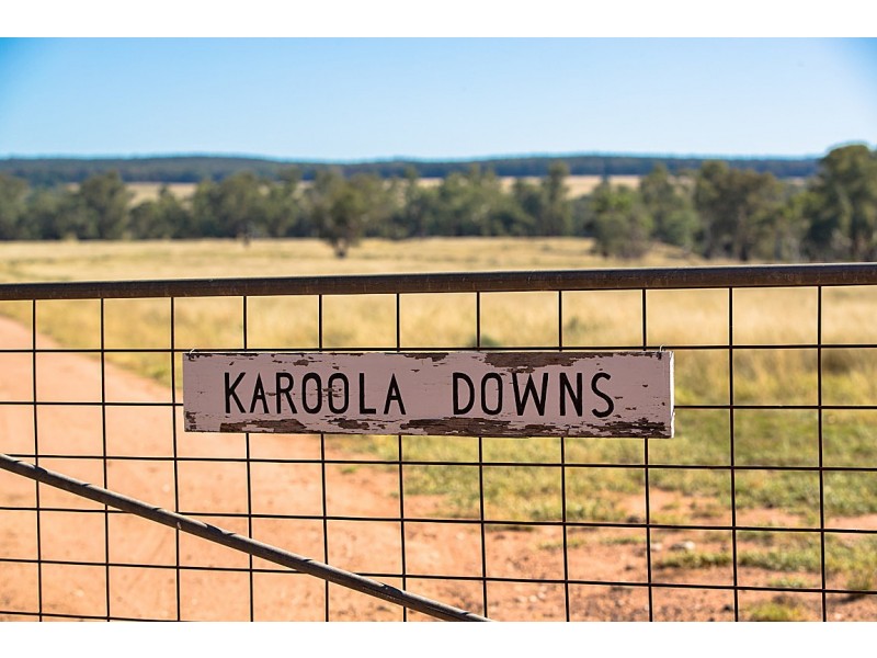 Elong Elong NSW 2831