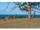 Bawley Point NSW 2539