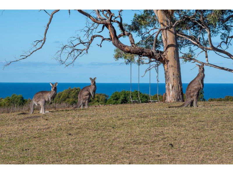 Bawley Point NSW 2539