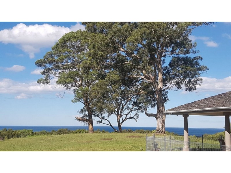 Bawley Point NSW 2539