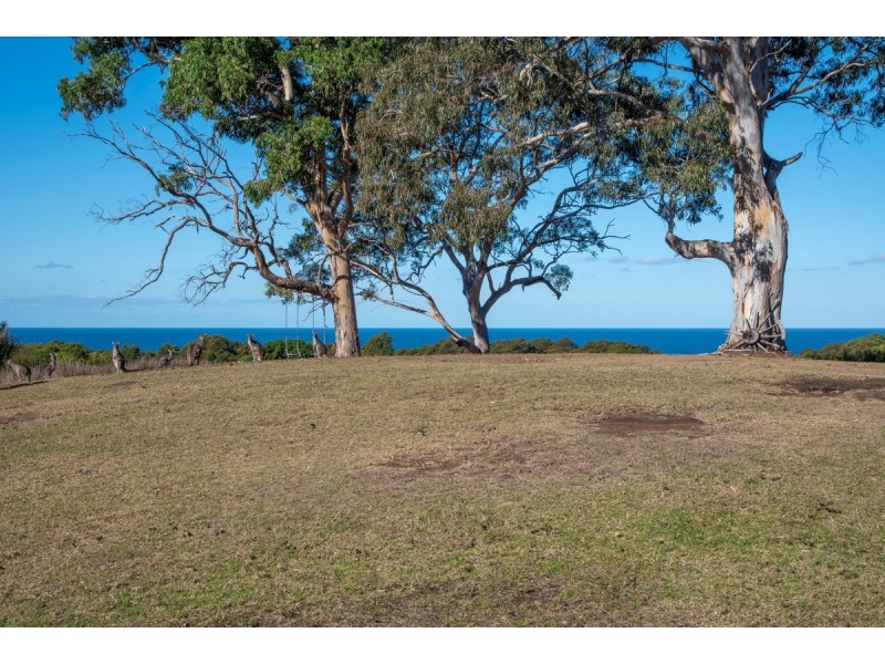 Bawley Point NSW 2539