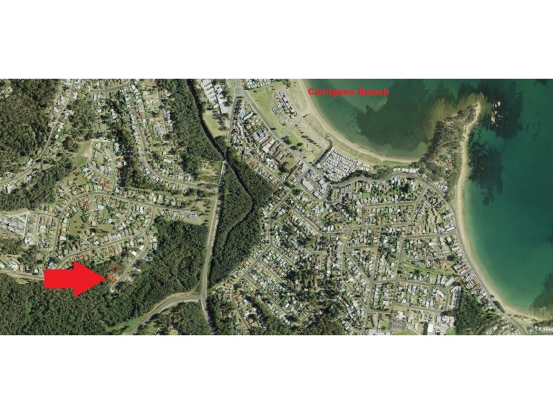 24 Oakwood Way, Catalina NSW 2536