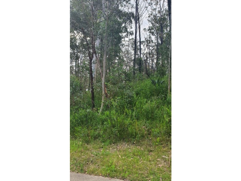 24 Oakwood Way, Catalina NSW 2536