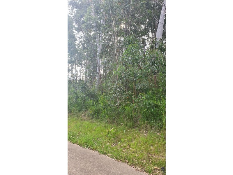 24 Oakwood Way, Catalina NSW 2536