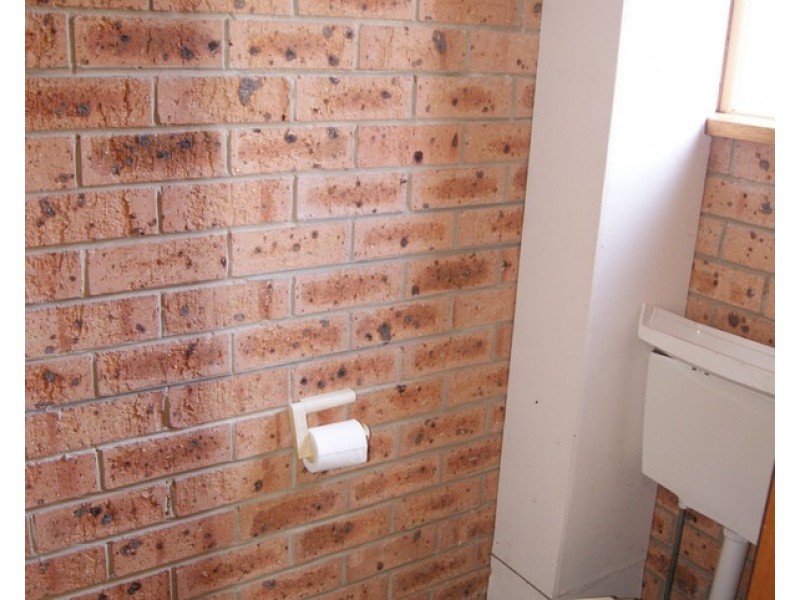 Moruya Heads NSW 2537