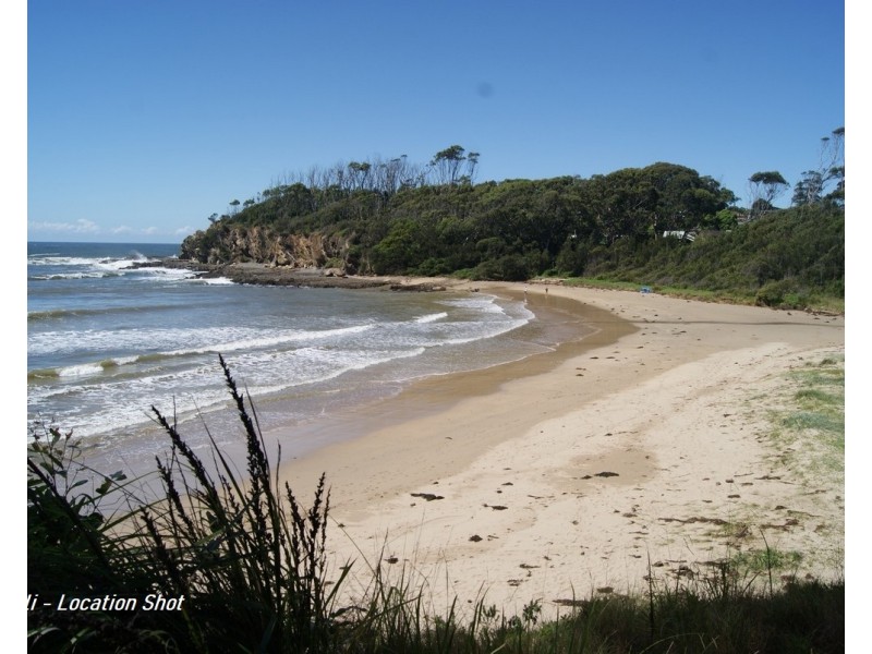 Lilli Pilli NSW 2536