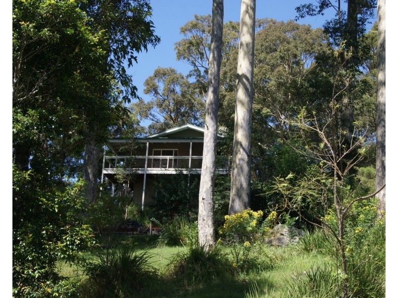 Lilli Pilli NSW 2536