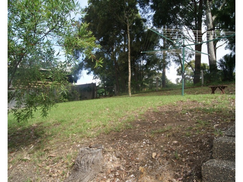 Lilli Pilli NSW 2536