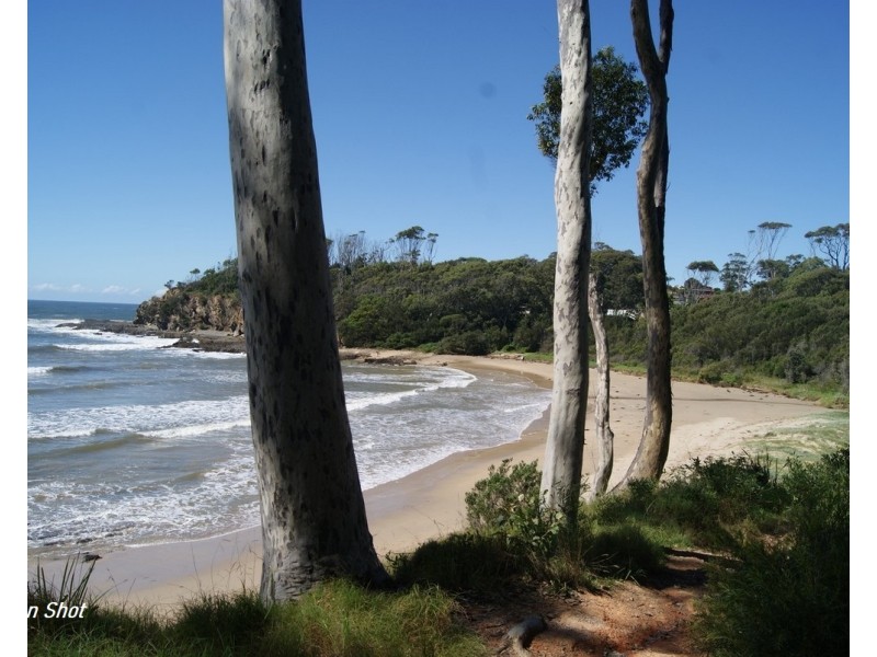 Lilli Pilli NSW 2536