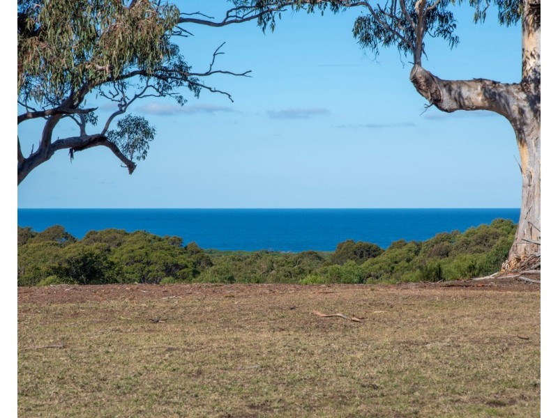 Bawley Point NSW 2539