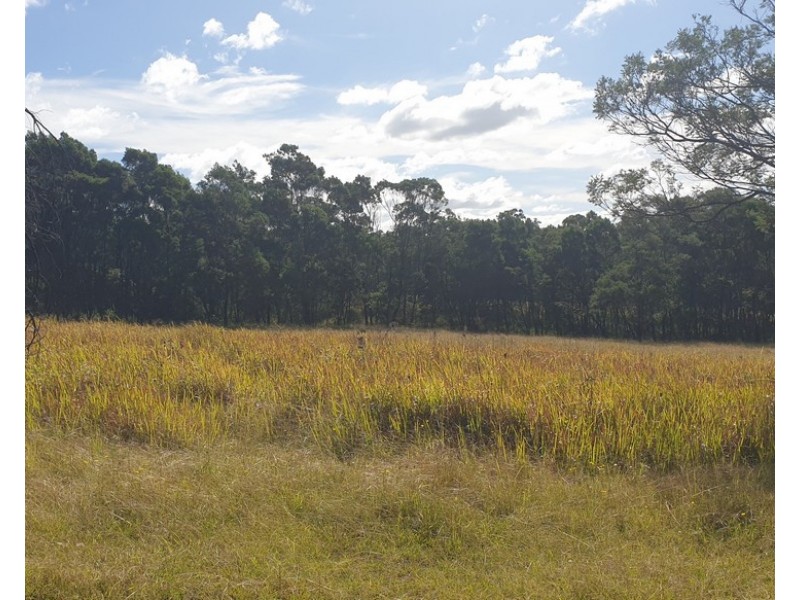 Congo NSW 2537