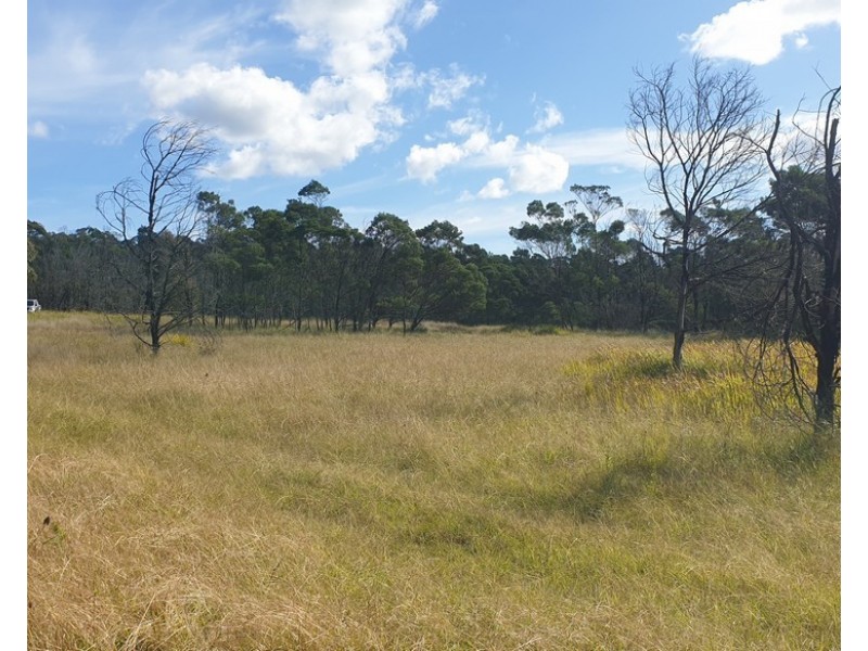 Congo NSW 2537