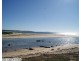 Congo NSW 2537
