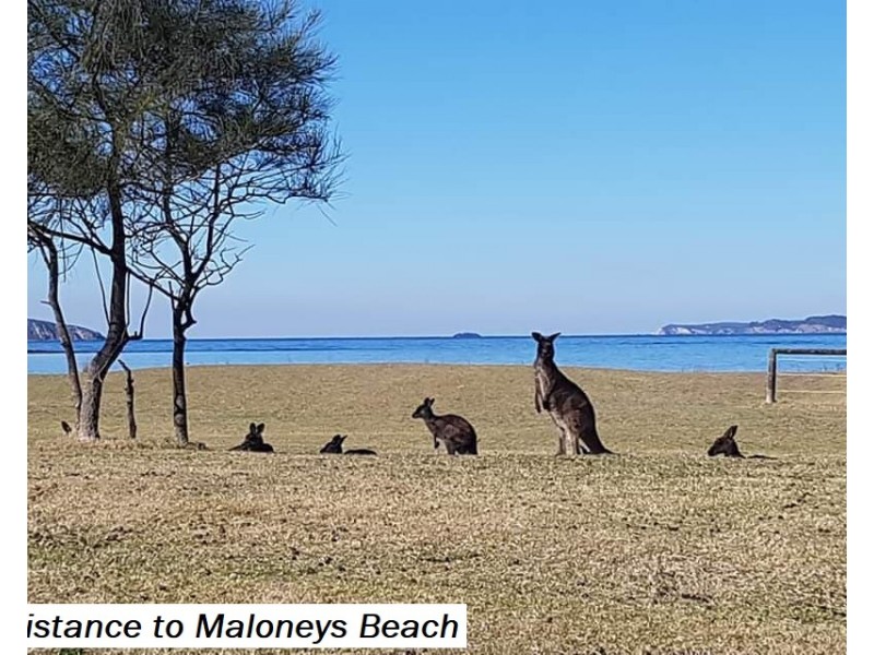 Maloneys Beach NSW 2536