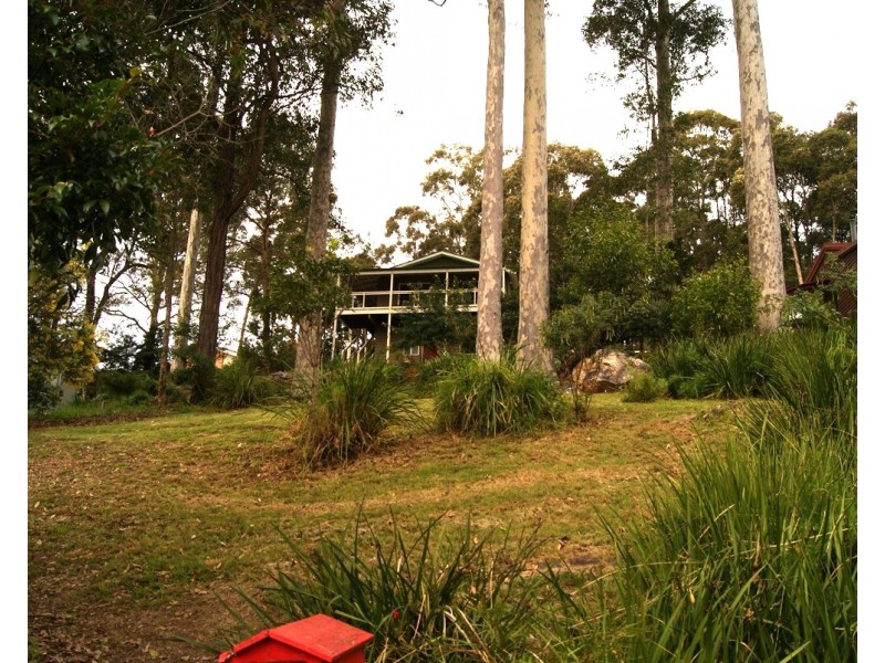 Lilli Pilli NSW 2536