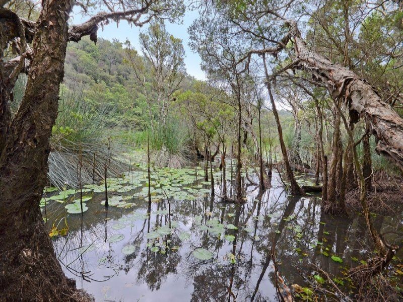Central Colo NSW 2756