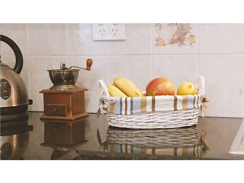 3 Olive Street, Condell Park NSW 2200