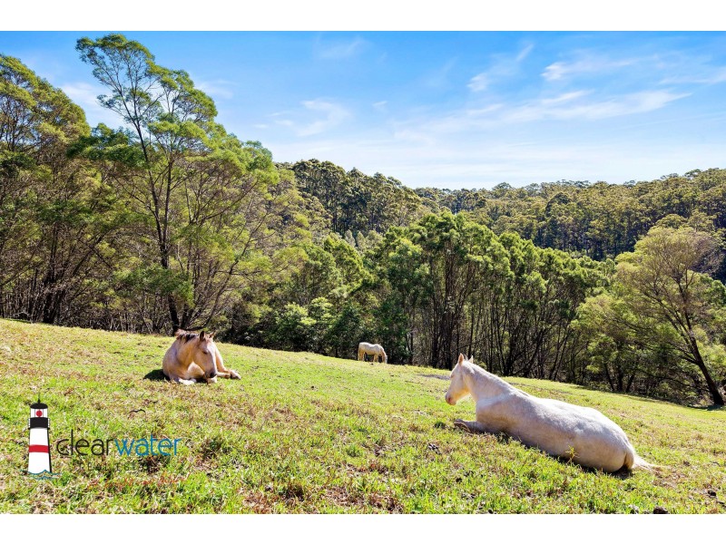 504 Punkalla Tilba Rd, Central Tilba NSW 2546