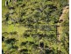 11 Bredbatoura Rd, Cobargo NSW 2550