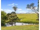 111 Terlichs Rd, Verona NSW 2550