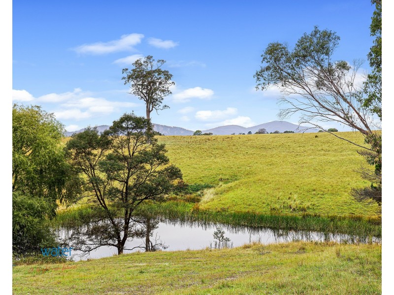 111 Terlichs Rd, Verona NSW 2550