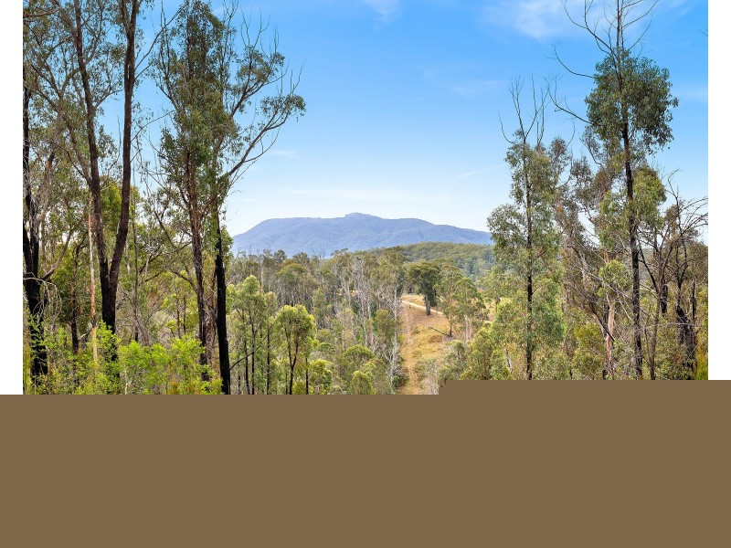 82 DP 819379/438 Cobargo Bermagui Rd, Coolagolite NSW 2550